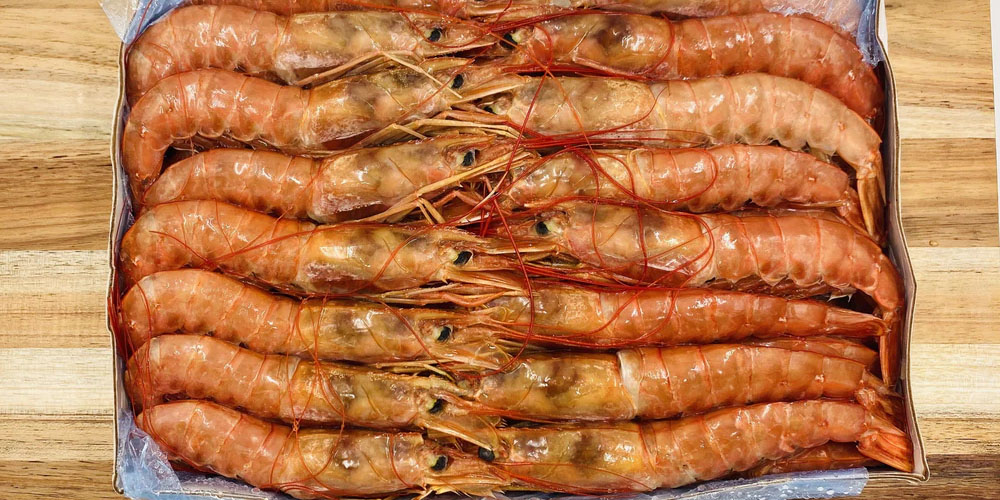 Five Giant Prawns Buying Guide you must Know